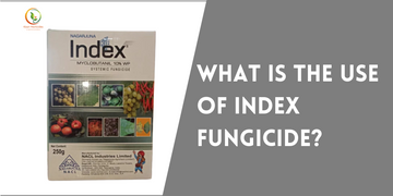 What is the use of Index Fungicide?