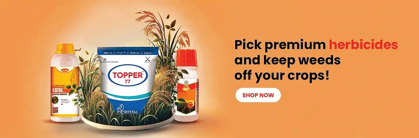 pest control productsslider_item_cL3n4d