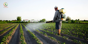 A Beginner's Guide to Choosing High-Quality Fungicides