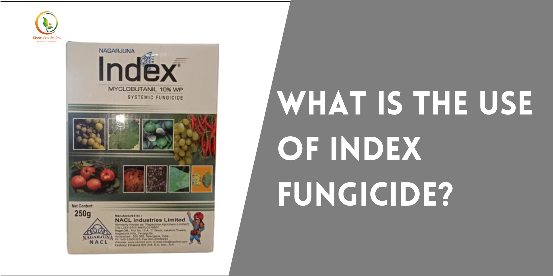 What is the use of Index Fungicide?