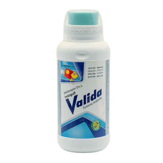 Valida