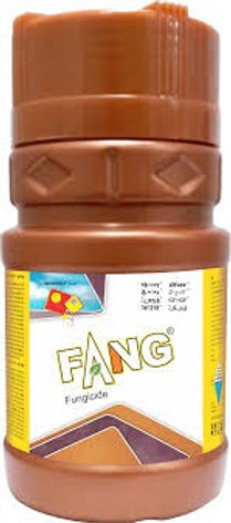 Fang | Tebuconazole 10% + Sulphur 65%