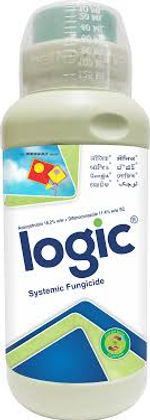 Logic