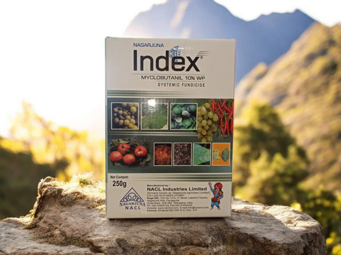 Index | Myclobutanil 10WP | Fungicide