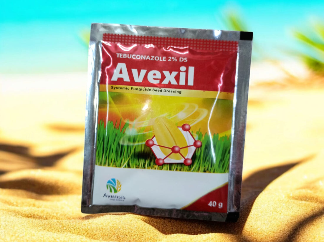 Avexil 40gm | Tebuconazole 2DS | Seed Treatment Fertilizer