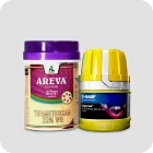 insecticides for plant